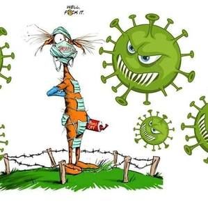 Meet your Posher, Tami